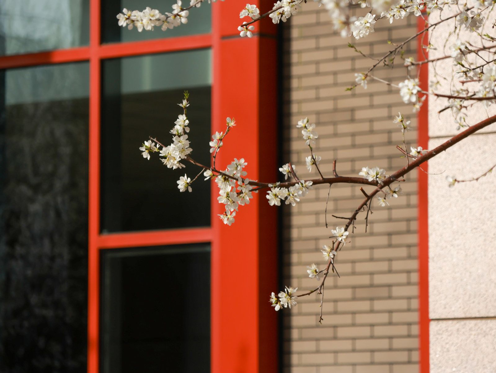 中央民族大学举办2026年抵御和防范宗教向校园渗透工作专题培训