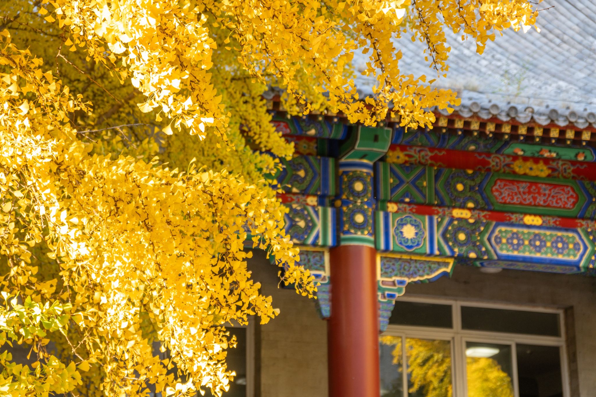 兴义民族师范学院党委书记丁湘梅、院长张乾飞一行来校调研